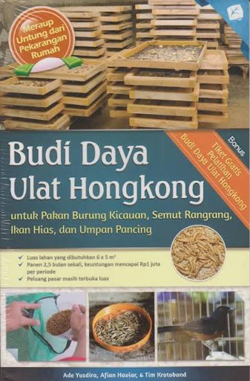 Budi daya ulat Hongkong