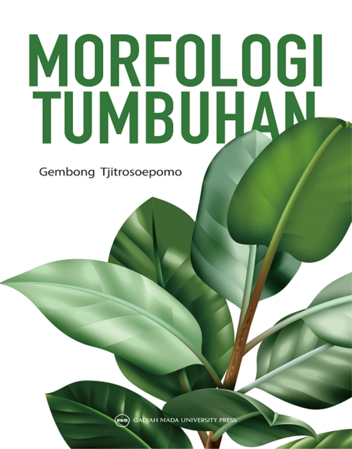 MORFOLOGI TUMBUHAN