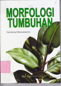 Morfologi Tumbuhan