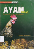 Beternak AYAM BURAS
