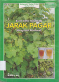 BUDI DAYA TANAMAN JARAK PAGAR (Penghasil Biodiesel)