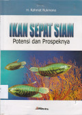 IKAN SEPAT SIAM Potensi dan Prospeknya