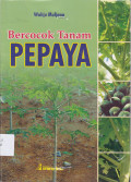 Bercocok Tanam PEPAYA
