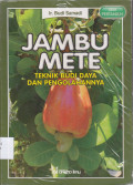 JAMBU METE (TEKNIK BUDI DAYA DAN PENGOLAHANNYA)